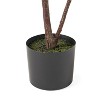 NicBex Artificial Tree Faux Plants 5FT Artificial Fiddle Leaf Fig Tree Indoor with Natural Wood Trunk, Room Decor for Home, Porch - 2 of 4