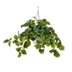 Nearly Natural 24-inUV Resistant Artificial Pothos with 50 Warm White LED Lights in White Hanging Basket (Indoor/Outdoor) - 1 of 3