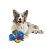 BARK Sniffin Booty Polly Roger Dog Animal Plush Toy - 4 of 4