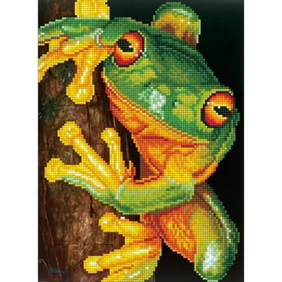 Diamond Dotz Diamond Embroidery Facet Art Kit 16.5"X12.6"-Green Tree Frog