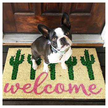 17x60 inch Natural Coco Coir Welcome Mat, Large Oversized Door Mat, Long  Entryway Rug with Non-Slip Rubber Backing, Narrow Outdoor Mat for Home  Entrance, Small Business 