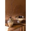 Rustic Decorative Ceramic Urn 10" Tall by Kalalou - 4 of 4