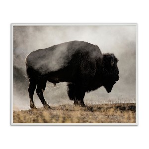 Stupell Industries Powerful Bison Grazing Foggy Rural Pasture Photography Framed Giclee Art, White, 30" x 24" - 1 of 4