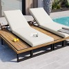 Outdoor Backyard Chaise Lounge Chair,5 Position Adjustable Backrest Recliner Chair,Garden Poolside Lounge with Beige Cushions-Coolbibila - 2 of 4