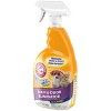 Arm & Hammer Plus Oxiclean Pet Stain & Odor Eliminator for Carpet - 32oz - image 3 of 4