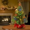 National Tree Company 2 ft Majestic Fir Tree with Battery Operated Multicolor LED Lights - 2 of 4