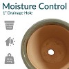 Sunnydaze Studio Outdoor/Indoor High-Fired Glazed UV- and Frost-Resistant Ceramic Planters with Drainage Holes - 4 of 4