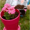 Premier PRO-MIX Premium Potting Mix with MYCOACTIVE Technology, Loose Fill - 3 of 4