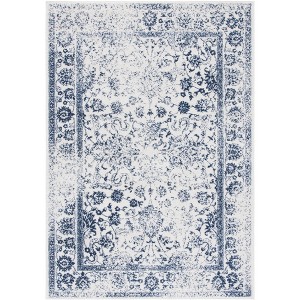 Adirondack ADR109 Non-Shedding Power Loomed Indoor Rugs - Safavieh - 1 of 4