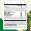 Floradix Iron Sport Liquid Mineral & Vitamin Formula - Sports Nutrition with Gentle Iron, B Vitamins & More - Vegan & Non-GMO - 8.5 fl oz - 2 of 4