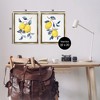 Stupell Industries Budding Lemon Blossoms Black Floater Framed Canvas Wall Art - 3 of 4