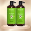 DermOrganic Daily Hydrating Shampoo & Conditioner (33.8 oz) Duo Set - Sulfate-Free & Color-Safe for Dry, Damaged Hair | Restores Strength & Shine - 2 of 2