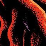 clear push pins bundle