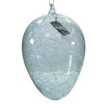 Holiday Ornament 8.25" Egg Easter Ornament Crackled Clear  -  Tree Ornaments