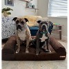 Big Barker 7" Orthopedic Dog Bed - Sofa Edition - 2 of 4