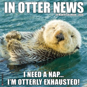Willow Creek Press 2026 In Otter News Wall Calendar - 1 of 4