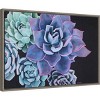 23" x 16" Abundance Succulent by Alana Clumeck Framed Canvas Wall Art - Amanti Art: Modern Lithograph, Sawtooth Back Mount - 2 of 4