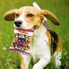 MLB Philadelphia Phillies Peanut Bag Pets Toy - 3 of 4