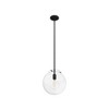 Hunter Fans 12" Sacha Ceiling Light Natural Iron Finish - 1-Light Globe Pendant for Modern Indoor Spaces - 2 of 4