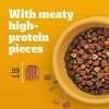 Pedigree High Protein Beef and Lamb Flavor Dry Dog Food - 3 of 4