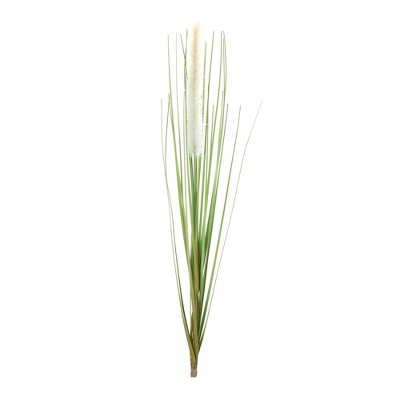 Melrose Foxtail Bush (Set of 12)