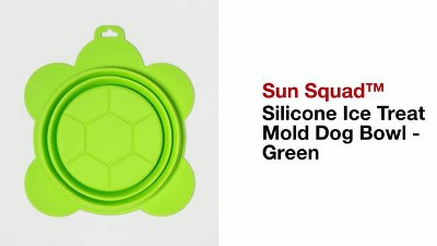 Silicone Ice Treat Mold Dog Bowl - Green - Sun Squad™ : Target