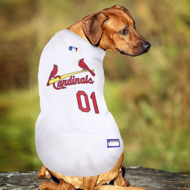 MLB St. Louis Cardinals Baseball Pets Jersey, 3 of 5