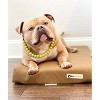 Big Barker 4" Orthopedic Crate Bed - 3 of 4