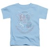 Toddler Boys' Harry Potter Hand Drawn Hogwarts Shield T-Shirt - 2 of 4