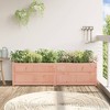 vidaXL Garden Planter Outdoor Flower Box for Climbing Plants-Solid Wood Douglas, Rectangular, 70.9"x19.7"x19.7", Brown/Natural - 3 of 4