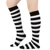 Striped Pattern Knee High Socks (Tube Socks) from the Sock Panda (Women's Sizes, Adult Medium) - 2 of 4