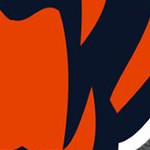 chicago bears