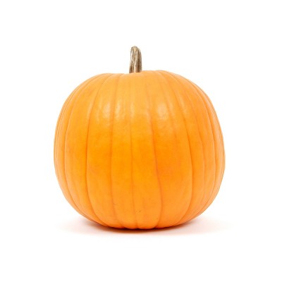 Jack O'Lantern Carving Pumpkin - each