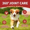 NATURE TARGET Dog Glucosamine with Chondroitin, MSM, Omega-3, Hemp, Calcium for Pain Relief, Hip & Joint, Bone Health - 120 Soft Chews - 2 of 4