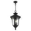 Livex Lighting Oxford 3 - Light Pendant in  Textured Black - 2 of 4
