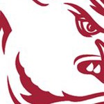 arkansas razorbacks