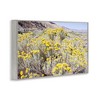 Stupell Industries Yellow Flowers in Arid Meadow Black Framed Giclee Art - 3 of 4