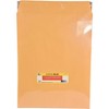 School Smart Catalog Envelopes with Ungummed Flaps, 14 x 18 Inches, Kraft Brown, Pack of 25 - 2 of 4