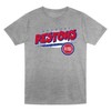 NBA Detroit Pistons Toddler Boys' 2pk T-Shirt - image 2 of 3