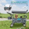 YONWAY Kids Wagon Cart with Removable Canopy, Heavy-Duty Foldable Beach Wagon for Kids, Pets, and All Terrains, 360°Swivel Wheels,Supports 150 LBS. - 4 of 4