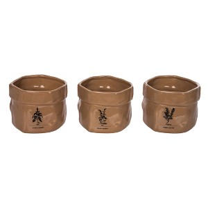 Transpac Ceramic Herb Seed Bag Set of 3 Home Decorations Spring - 1 of 2