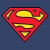 Boy's Superman Classic Logo Pull Over Hoodie - 2 of 4
