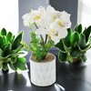 Unique Bargains Artificial Plants Five-Headed Daffodil Bonsai Plastic 2.76"x2.76"x9.45" 1 Pcs - 2 of 4