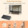 coucheta 32.5 Inch Medium SmallHeavy with Wheels, Removable Tray, 2 Lockable Doors - 4 of 4