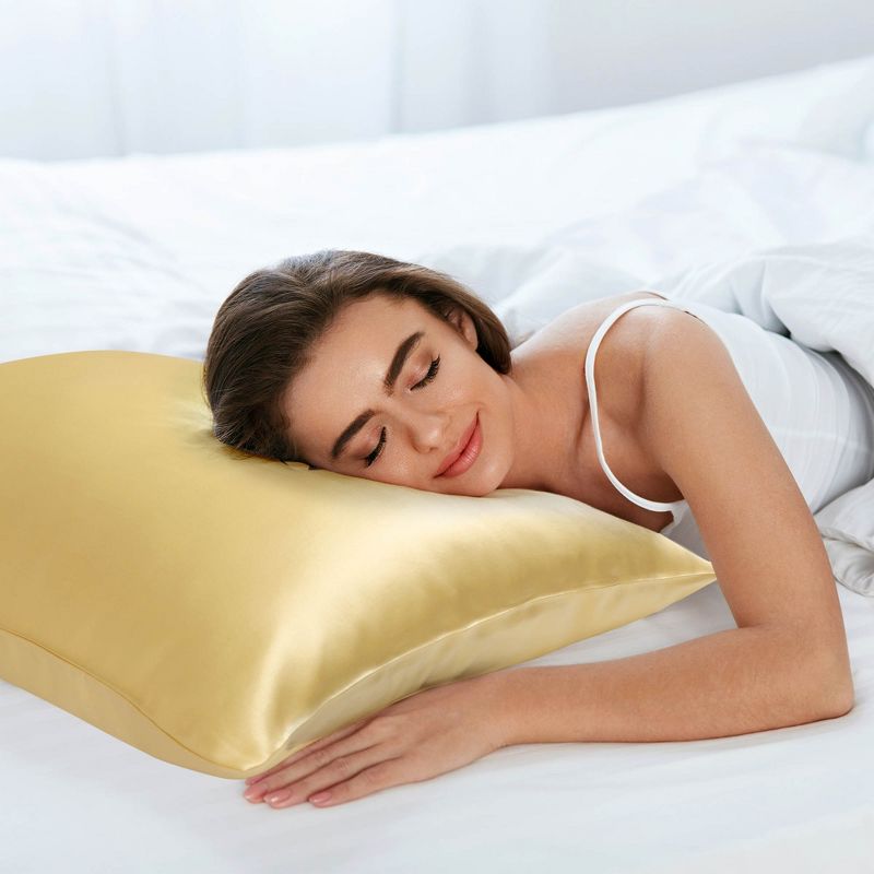 1 Pc 100% Mulberry Silk Fabric Pillow Case - PiccoCasa, 6 of 7