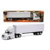 New Ray Freightliner Cascadia Dry Van Long Trucker 1:43 Scale - 3 of 3