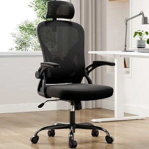SKRAN Ergonomic Office Chair, High Back Computer Chair with Headrest and Adjustable Lumbar Support for Home Office Gaming Study - 1 of 4