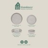 Bloomhouse Santorini Mist 16 Piece Double Bowl Terracotta Reactive Glaze Plates and Bowls Dinnerware Set - Moonstone White, Amber, Garnet Red, or Jade - 4 of 4