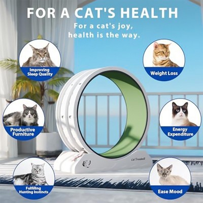 Gray and Green Freestanding Plastic Cat Exercise Wheel