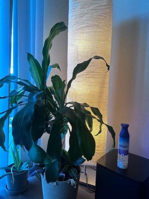 Guest review image 2 of 2, zoom in